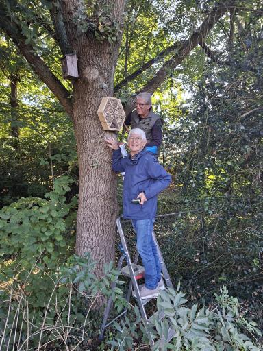 Foto 3 van 6 bij het verslag van Bijenkasten