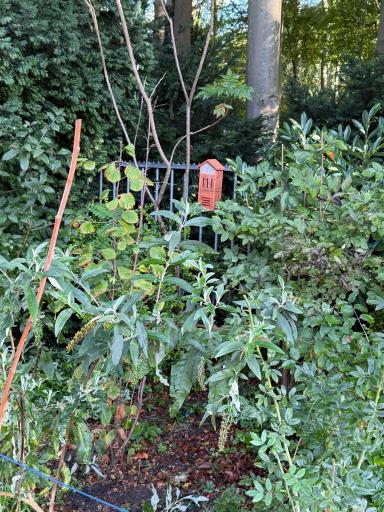 Foto 6 van 6 bij het verslag van Bijenkasten